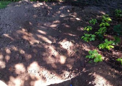 garden-waterfall-before-002