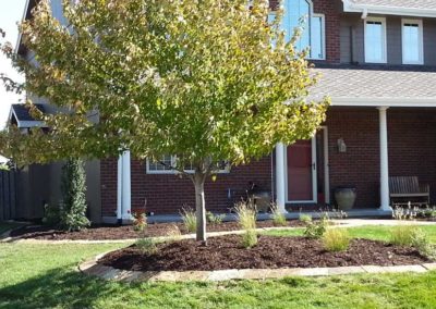 landscaping-mulched-treebeds-residential