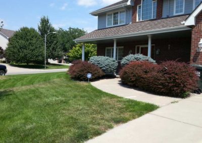 residential-landscape-design-before-003