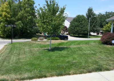 residential-landscape-design-before-004