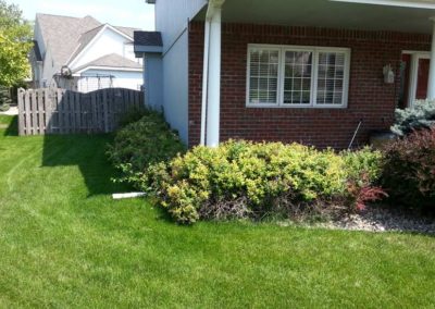 residential-landscape-design-before-005